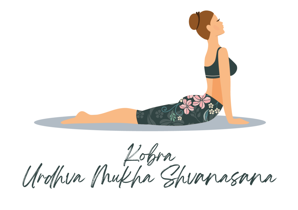 Yoga Übung Kobra Urdhva Mukha Shvanasana