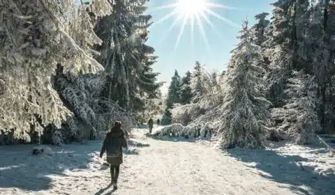 Frau läuft durch das sonnige und zugeschneite Winterwonderland