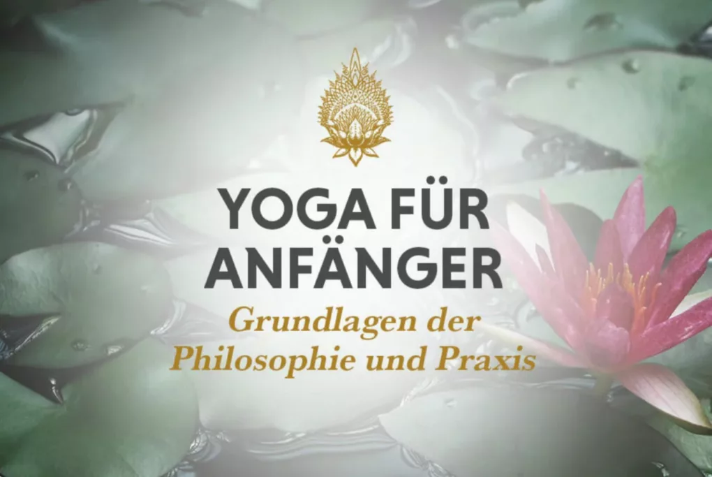 Grafik Yoga für Anfänger Onlinekurs