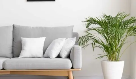 sauberes und frisches Wohnzimmer mit heller Couch