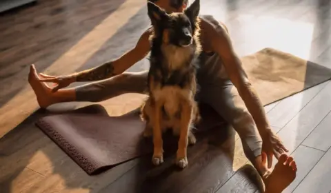 Frau macht Doga Yoga mit ihrem Hund