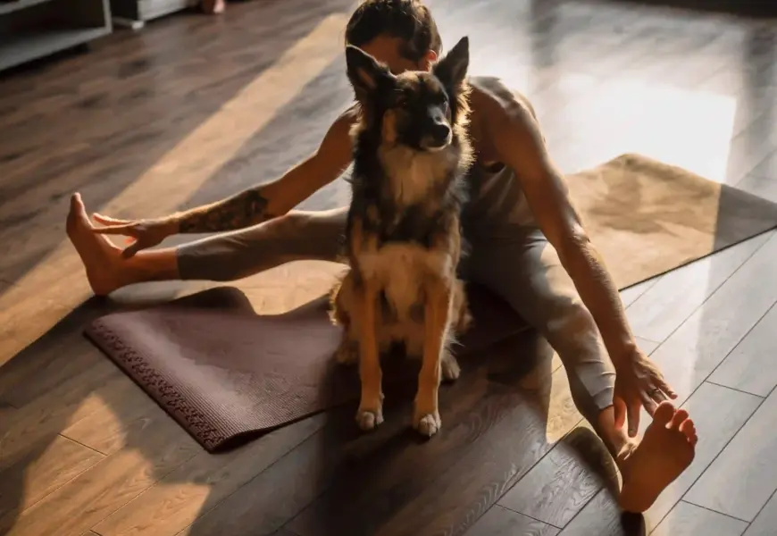 Frau macht Doga Yoga mit ihrem Hund