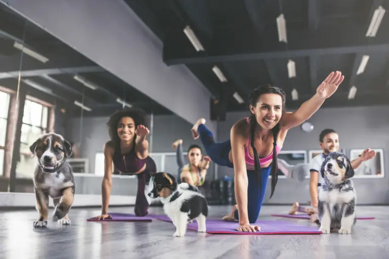 Yogakurs mit drei Frauen und drei Hunde Welpen