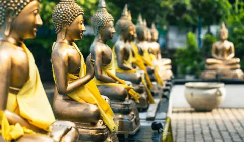 Buddha Statuen in Sri Lanka