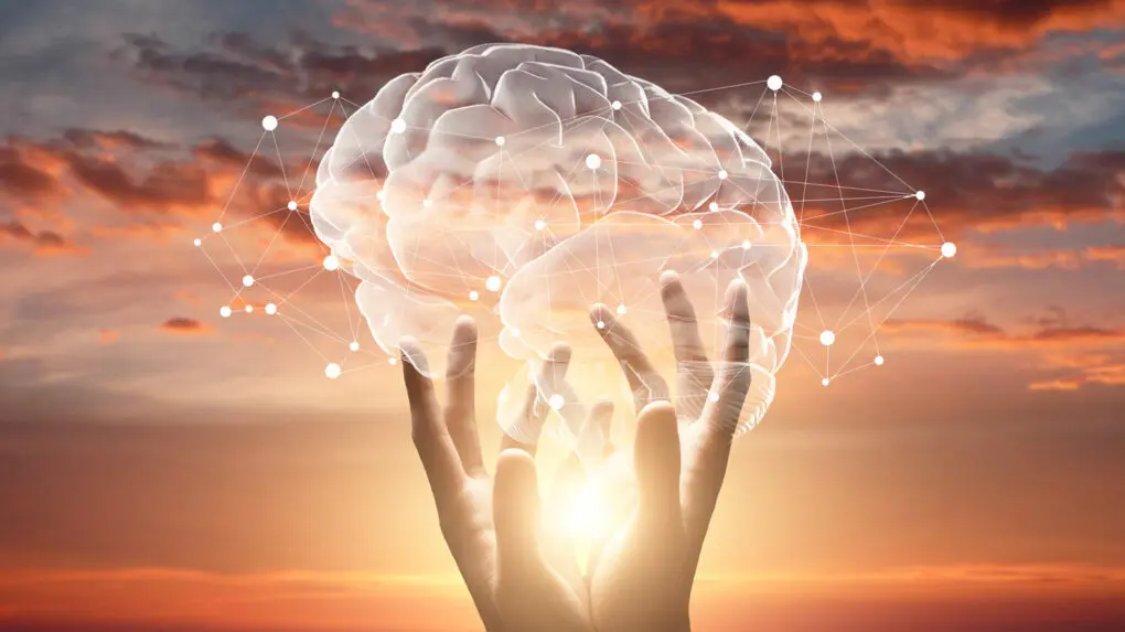 Weibliche Hände berühren Gehirn mit Netzwerkverbindungen des Endocannabinoid-Systems