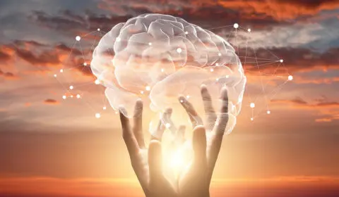 Weibliche Hände berühren Gehirn mit Netzwerkverbindungen des Endocannabinoid-Systems