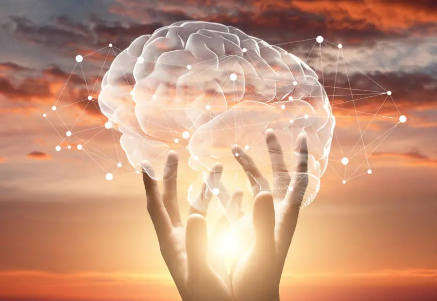 Weibliche Hände berühren Gehirn mit Netzwerkverbindungen des Endocannabinoid-Systems