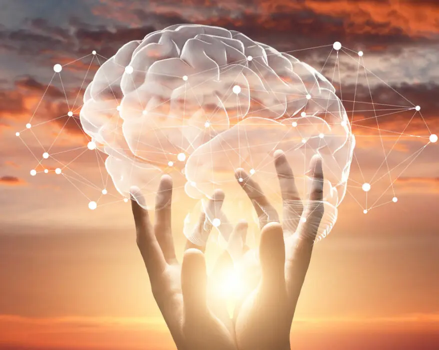 Weibliche Hände berühren Gehirn mit Netzwerkverbindungen des Endocannabinoid-Systems