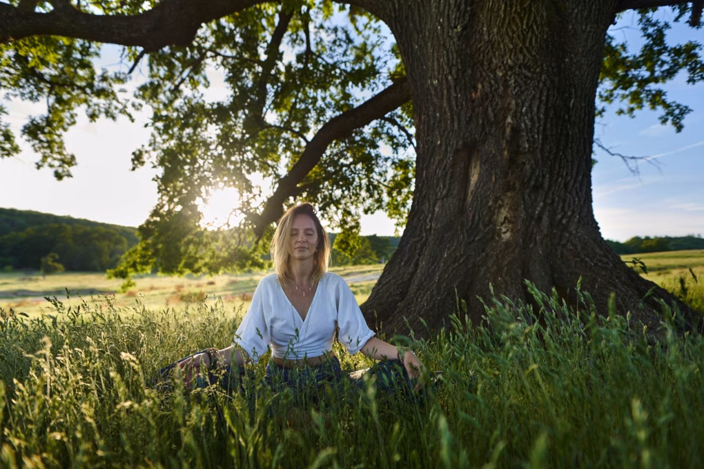 Frau sitzt in der Natur vor einem Baum und meditiert