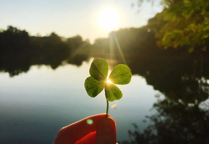 Frau hält ein vier-blättriges Kleeblatt